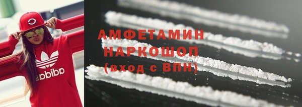 мет Алексин